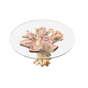 Lombok Root 120cm Glass Topped Dining Table