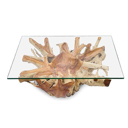 Root Lombok Coffee Table Rectangle with Glass Top – A World of Furniture