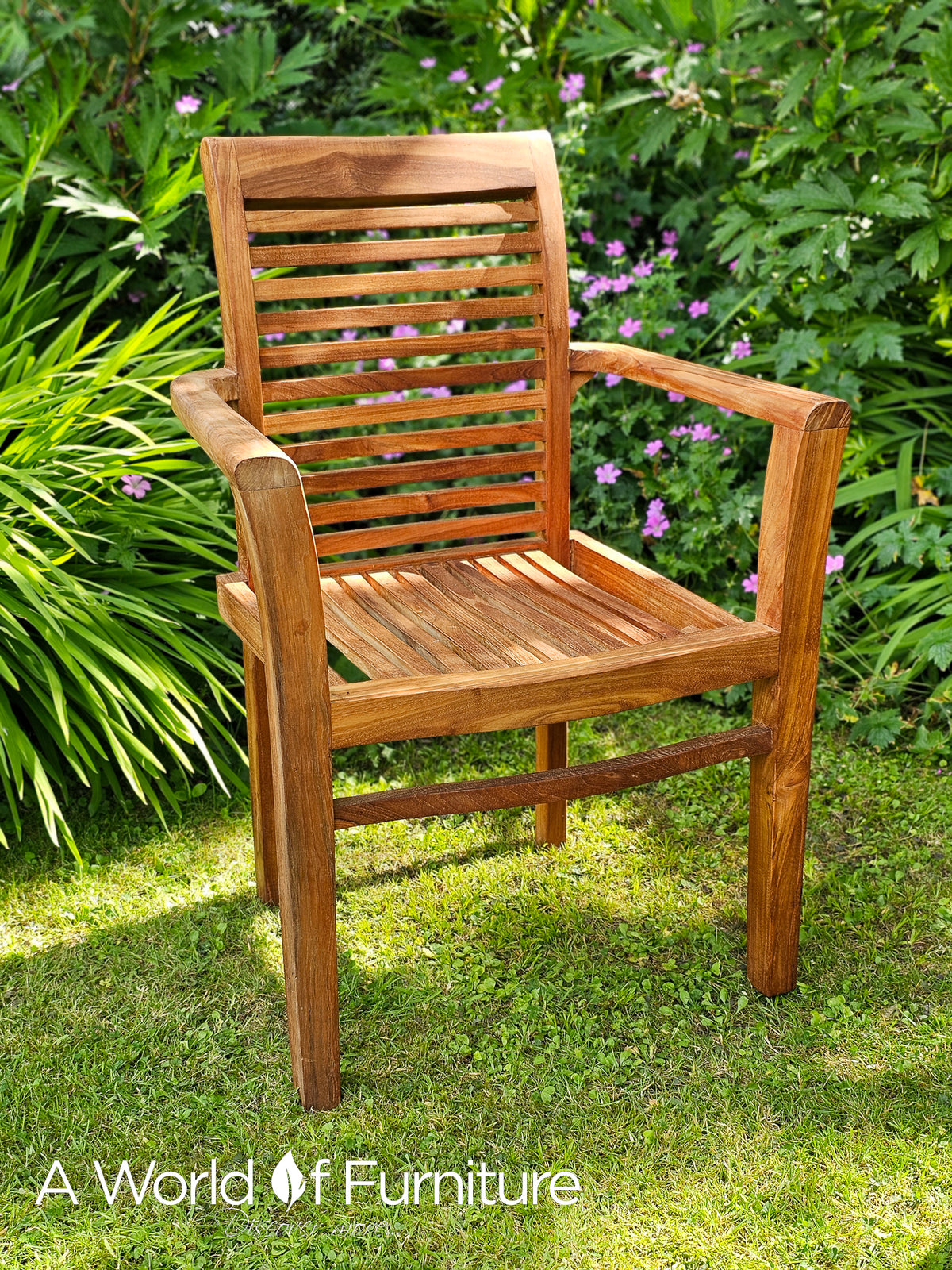 Teak Outdoor Scroll Back Stacking Chair